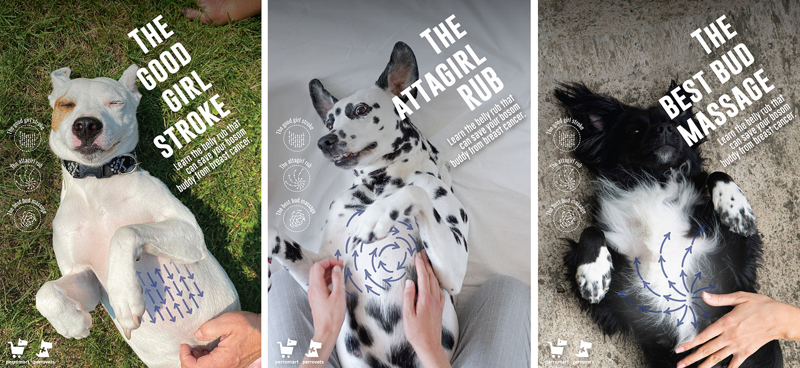 Perromart + BBDO Singapore launch the Belly Rub Cancer Check-Up to detect breast cancer in dogs