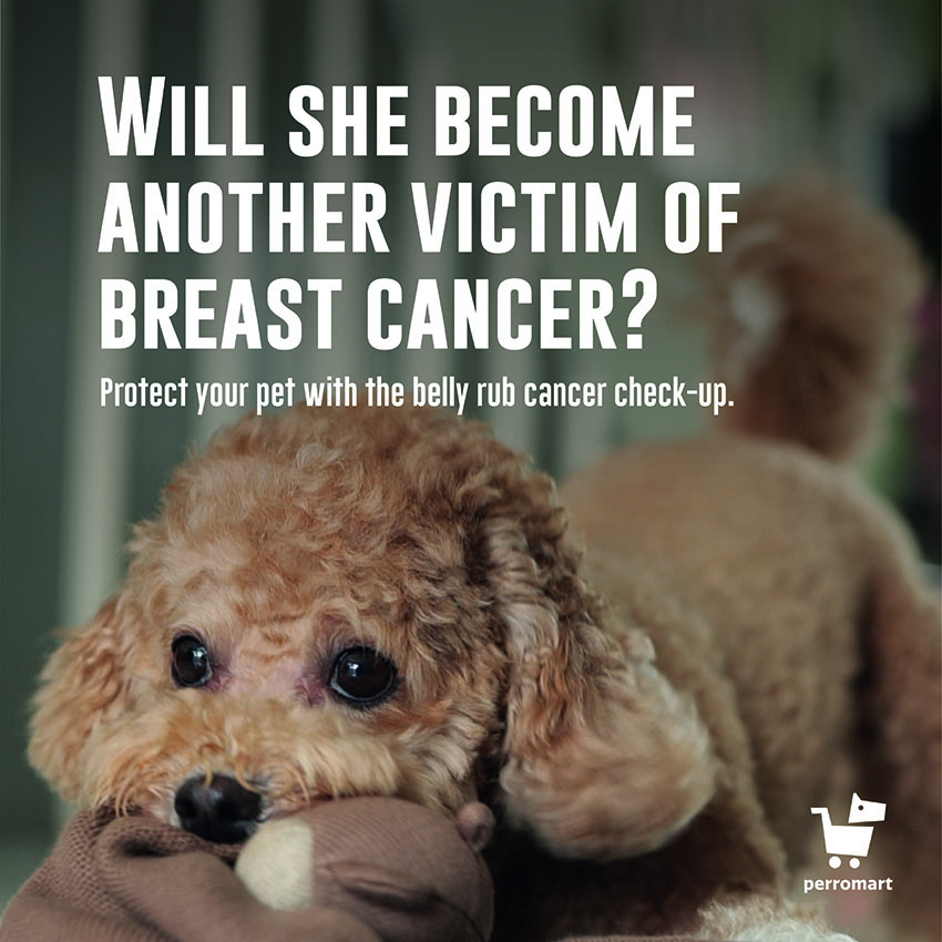 Perromart + BBDO Singapore launch the Belly Rub Cancer Check-Up to detect breast cancer in dogs