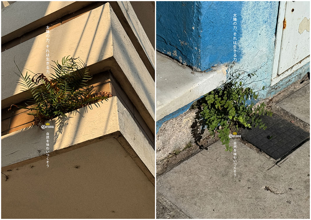 After a strong foundation year GUT Asia sets its sights on brave work for the region