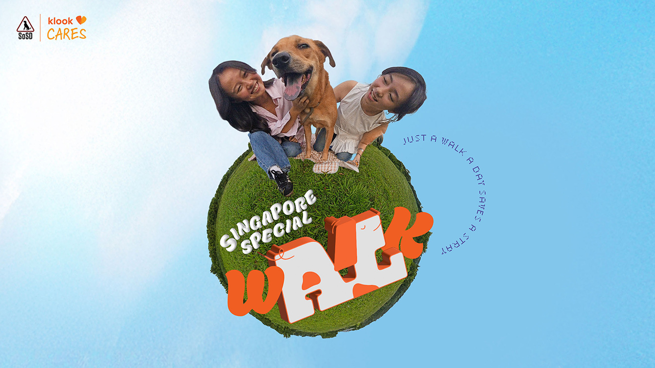 McCann Worldgroup + Klook invite animal lovers to discover Singapore specials this December